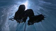 The future of the planet lies in the ice of Antarctica